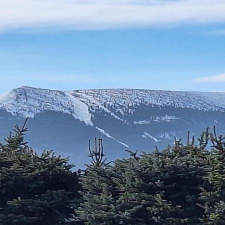 Sunny Hill , Kowary Lägenhet Exteriör bild
