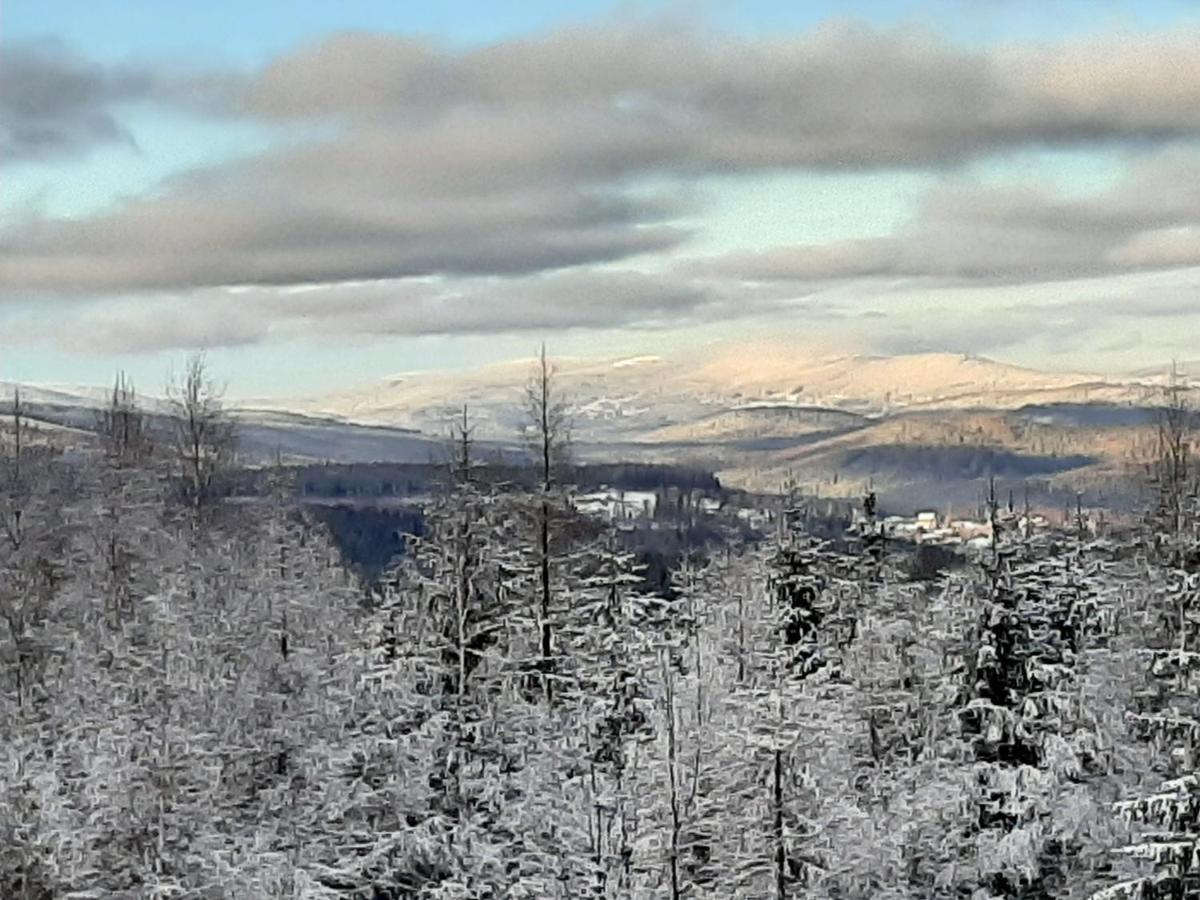 Sunny Hill , Kowary Lägenhet Exteriör bild