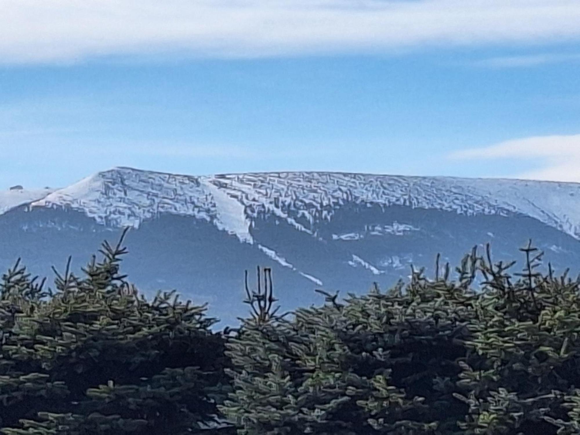 Sunny Hill , Kowary Lägenhet Exteriör bild