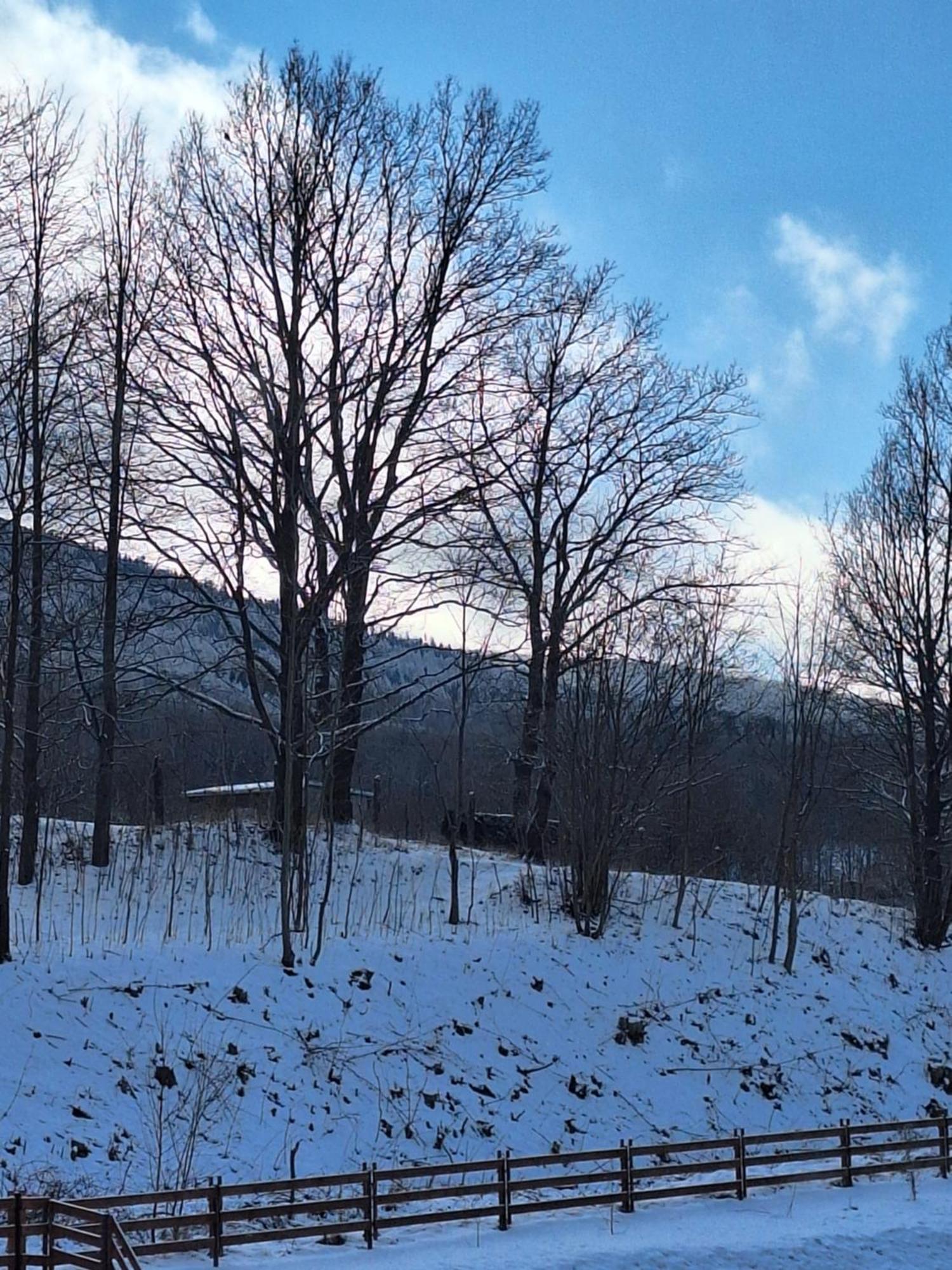 Sunny Hill , Kowary Lägenhet Exteriör bild